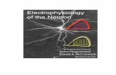 Electrophysiology of the Neuron - Stanford University