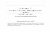 eStrategy Partners: Sample Strategic Business Plan