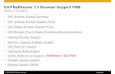 SAP NetWeaver 7.4 Browser Support PAM