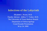 Infections Of The Labyrinth - UTMB.edu