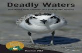 Deadly Waters: How Rising Seas Threaten 233 Endangered Species