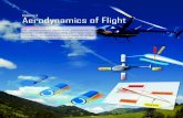 Chapter 02: Aerodynamics of Flight