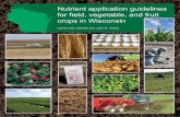 Nutrient Application Guidelines for Field, Vegetable, and Fruit Crops ...