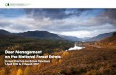Deer Management on the National Forest Estate