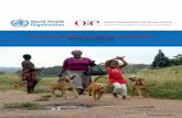Human and dog rabies vaccines and immunoglobulins: report of a ...
