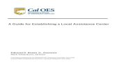 Local Assistance Center Guide for Local Government