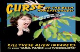 Curse of the Bush Honeysuckles - Missouri Department of