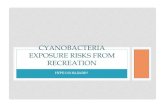 cyanobacteria exposure risks from recreation
