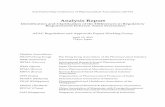 Analysis Report [PDF 3MB]