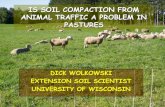 Soil Compaction in Pastures from Animal Traffic