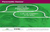 Pancreatic cancer: Guide for patients
