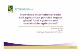 How does international trade and agriculture policies impact global ...