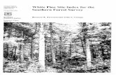 White Pine Site Index for the Southern Forest Survey