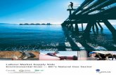 Labour Market Supply Side Environmental Scan — BC's Natural ...