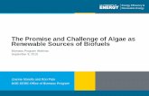 The Promise and Challenge of Algae as Renewable Sources of ...