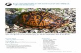 ecology and population genetics of eastern box turtles in indiana
