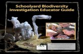 Schoolyard Biodiversity Investigation Educator Guide