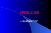 Ebola Virus (click to download .ppt file)