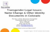 Transgender Legal Issues: Name Change & Other Identity ...