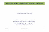 Security Issues in Wireless Sensor Networks