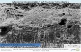 Material Degradation of Nuclear Structures Mitigation by ...