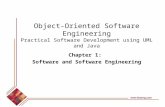 Software and Software Engineering