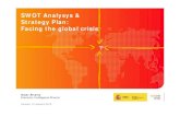 SWOT Analysys & Strategy Plan: Facing the global crisis
