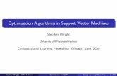 Optimization Algorithms in Support Vector Machines