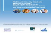 McDowell County Worksite Wellness Project: Report on the Results ...