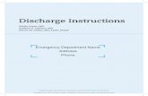 Discharge Instructions (English)