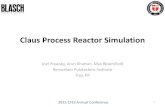Claus Process Reactor Simulation