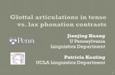 Glottal articulations in tense vs. lax phonation contrasts