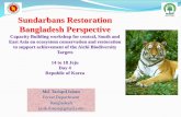 Sundarbans Restoration Bangladesh Perspective