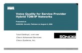 Voice Quality in TDM-IP Hybrid Networks