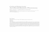 Critical Hypersonic Aerothermodynamic Phenomena