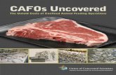 CAFOs Uncovered
