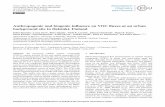 Anthropogenic and biogenic influence on VOC fluxes at an urban ...