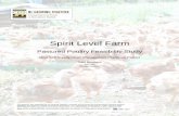 Spirit Level Farm