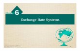 Exchange Rates & Government Role