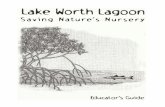 Lake Worth Lagoon: Saving Nature's Nursery Educator's Guide (2010)