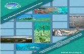 establishing a cooperative mechanism for protection of met-ocean ...