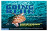Going Blue Guide