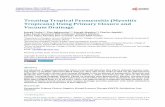Treating Tropical Pyomyositis (Myositis Tropicans) Using Primary ...