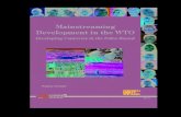 Mainstreaming Development in the WTO Developing Countries in ...