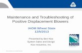 Maintenance and Troubleshooting of Positive Displacement Blowers