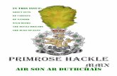 The 2010 Primrose Hackle