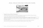 Brain Waves Volunteer Instructor Guide