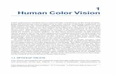 1 Human Color Vision