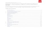 Adobe SiteCatalyst DPS Report Guide