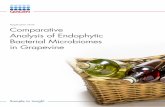Comparative Analysis of Endophytic Bacterial Microbiomes in ...
